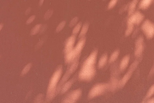 Σκιά Φύλλων Έναν Πορτοκαλί Τοίχο — Φωτογραφία Αρχείου