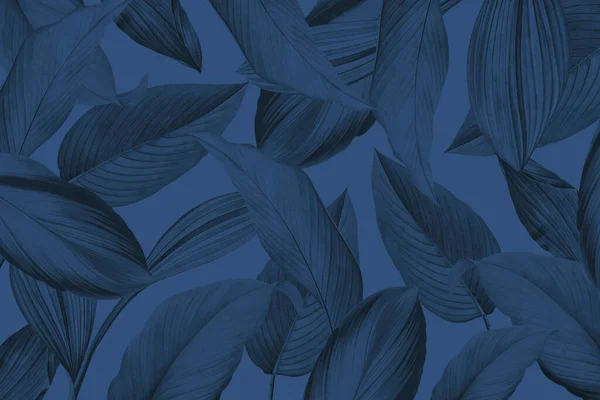 Pflanze Gemusterten Dunkelblauen Hintergrund — Stockfoto