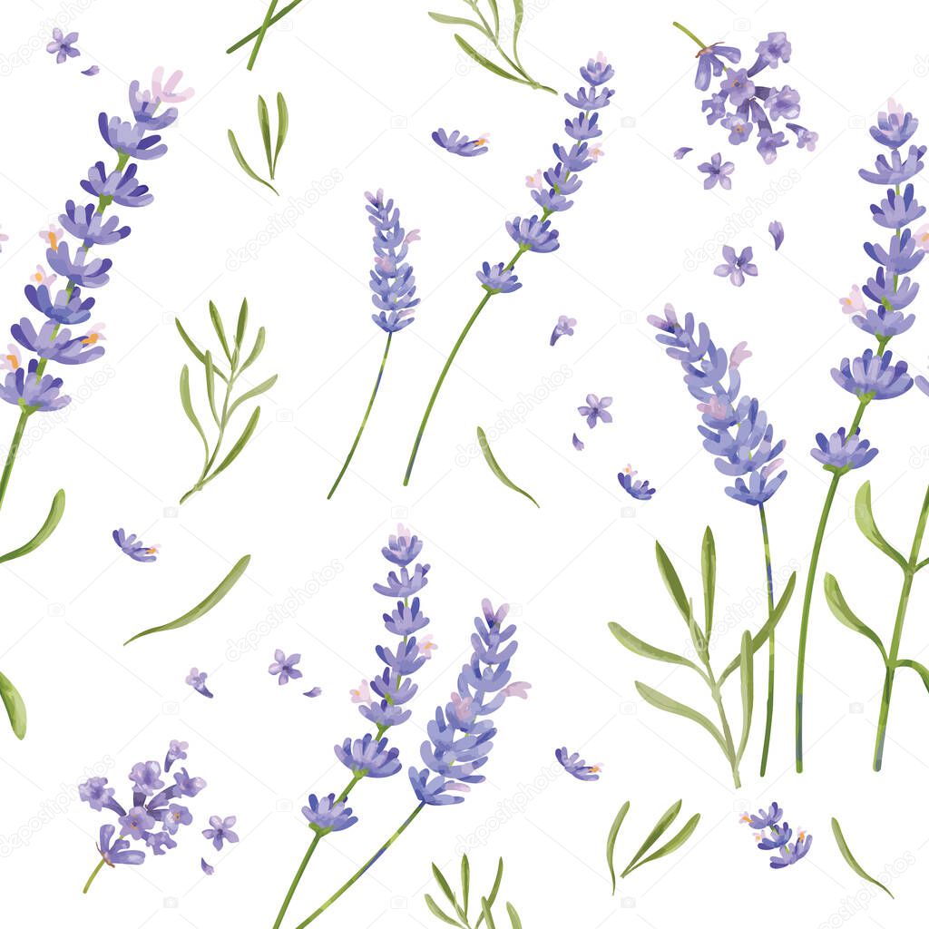 Hand drawn lavender flower pattern