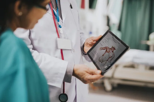 Médico Que Consulta Estagiário Médico — Fotografia de Stock