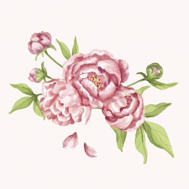 El çizimi pembe şakayık çiçeği çizimi