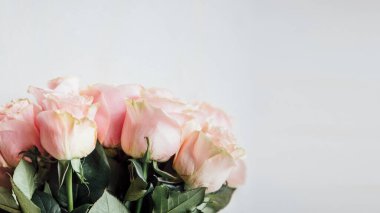 Bir buket pembe gül sosyal şablonu