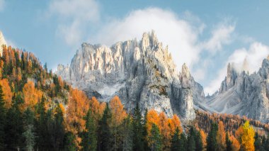 Dolomitler dağ ve sonbahar ağaçları