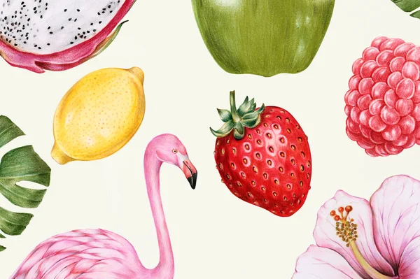 Met Hand Getekend Tropisch Fruit Illustratie — Stockfoto