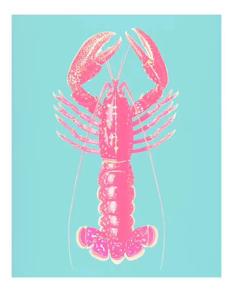 Vintage Crimson Crawfish Palemon Ornatum Illustrazione Parete Arte Stampa Poster — Foto Stock