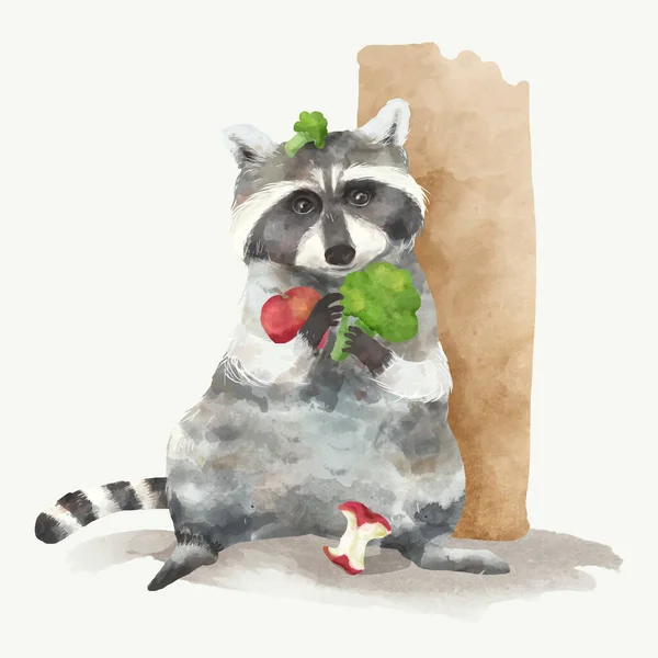 Illustration Raccoon — Stock Photo, Image
