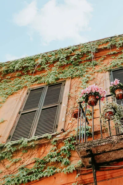 Flores Balcón Florencia Italia — Foto de Stock
