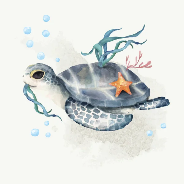 Ilustración Tortuga Aislada — Foto de Stock