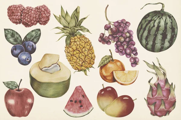 Kézzel Rajzolt Trópusi Gyümölcsök Készlet Illusztráció — Stock Fotó