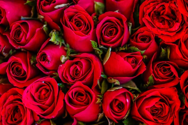 Rose Rosse Sfondo Strutturato — Foto Stock