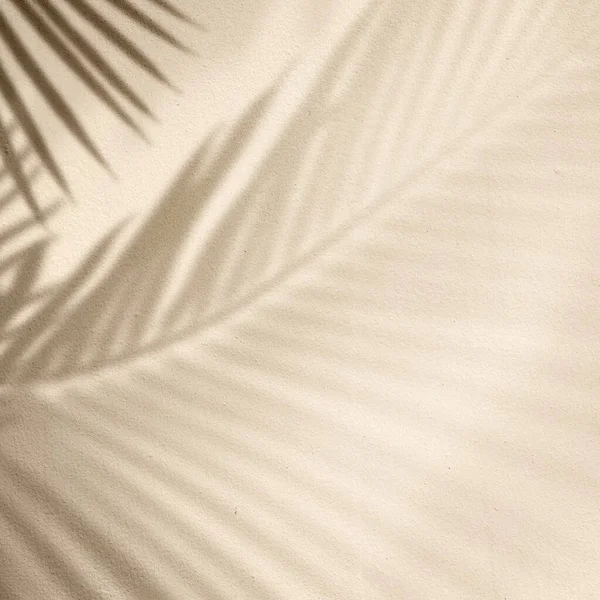 Golden Background Palm Tree — Stock Photo, Image