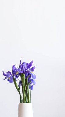 Beyaz bir vazo cep telefonu duvar kağıdındaki mor irislerin yakınlaştırılması