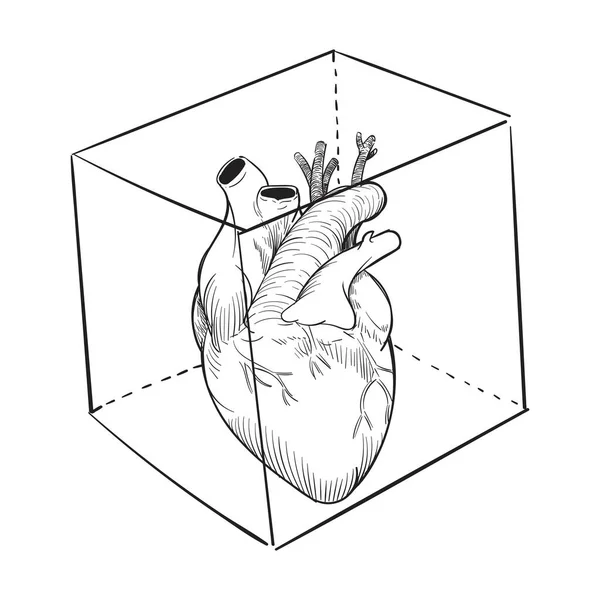 Hand Drawing Illustration Captived Heart — Stock Photo, Image