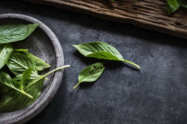 Taze fesleğen Asya bitkisi bırakır