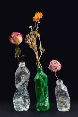 Siyah arka planda kurumuş çiçekler çarpmış plastik şişeler.
