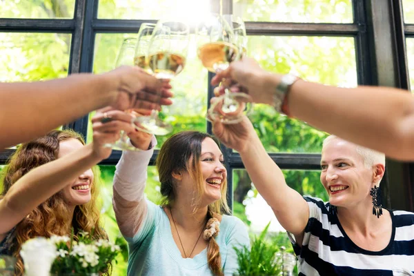 Mujeres Una Cena —  Fotos de Stock