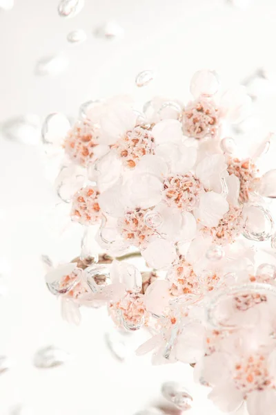 Flores Brancas Yarrow Água Borbulhante — Fotografia de Stock