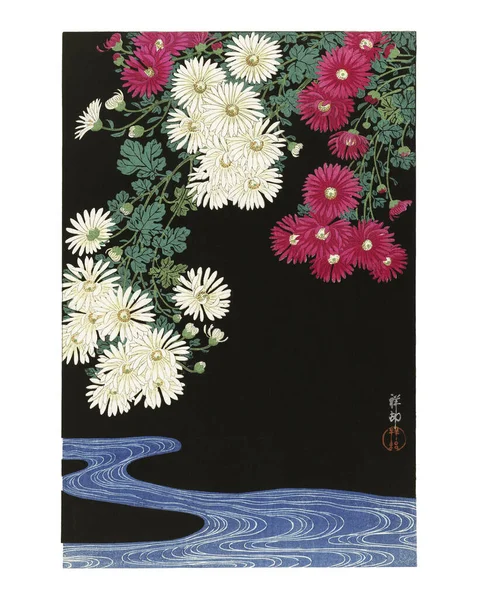 Chrysanthemums Vintage Illustration Ohara Koson Цифрове Підсилення Допомогою Ровікселя — стокове фото