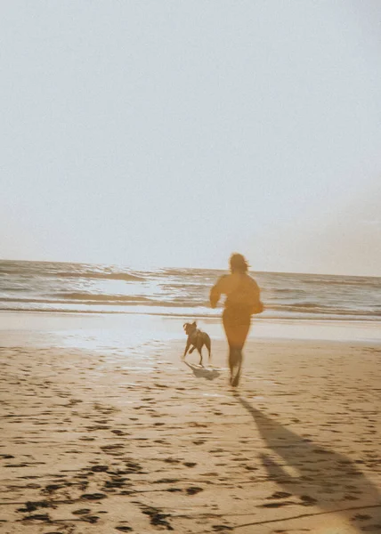 Woman Her Dog Playing Beach — Stock Photo, Image