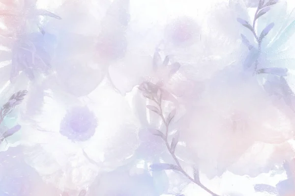 Purple Blooming Anemone Flower Background — Stock Photo, Image