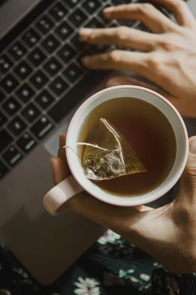 Жінка Тримає Чашку Чаю Під Час Використання Ноутбука — стокове фото