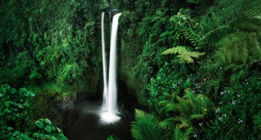 Samoa 'da bir şelale