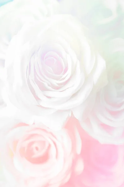 Pink Rose Patterned Background — Stock Photo, Image