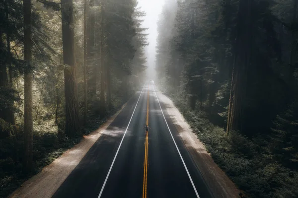 Scenery Country Road Californian Forest Background — Stock Photo, Image