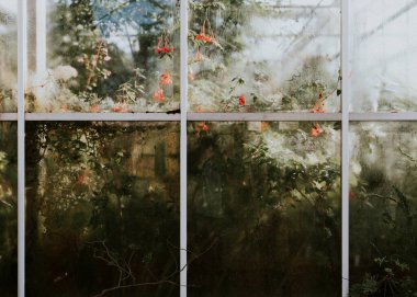 Yeşil bir evde yeşil bitkiler ve ağaçlar