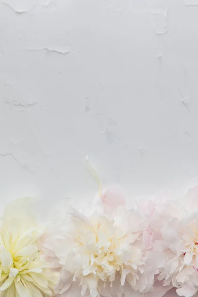 Projeto Moldura Flores Bonitas Branco — Fotografia de Stock