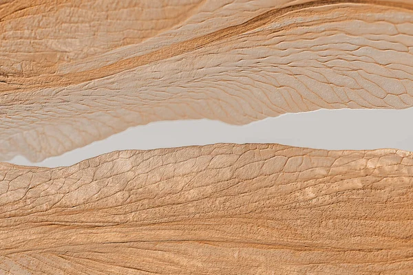 乾燥銅ユリの葉の質感の背景 — ストック写真