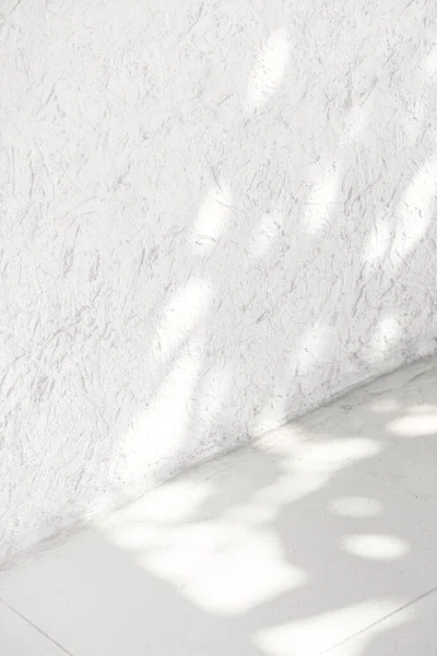Κενή Λευκή Γωνία Τροπική Σκιά Φύλλων — Φωτογραφία Αρχείου
