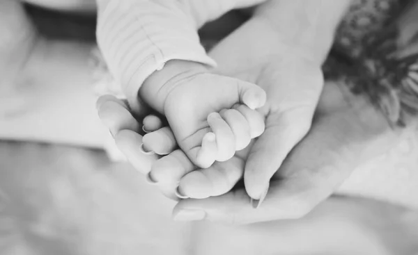 Fechar Mãos Família Que Mantêm Outro Com Amor — Fotografia de Stock