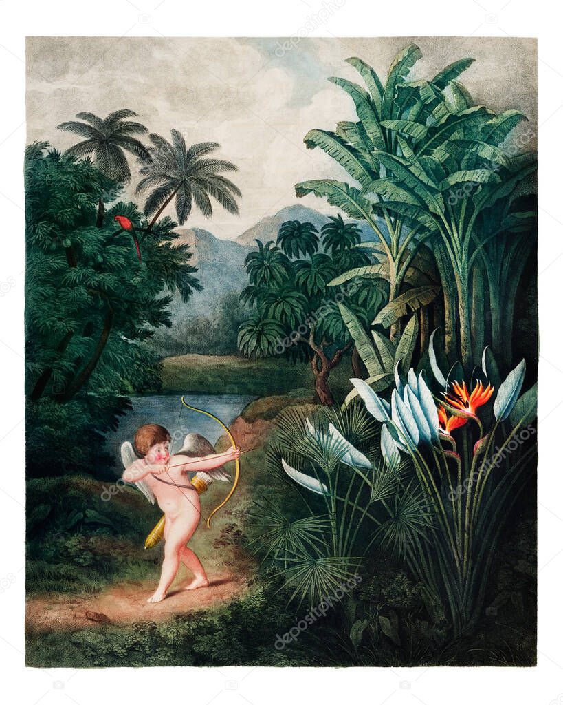 Cupid Inspiring Plants with Love vintage illustration by Robert John Thornton. Digitally enhanced by rawpixel.