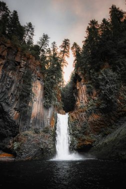 Oregon, ABD 'deki Toketee Falls manzarası