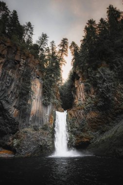 View of Toketee Falls in Oregon, USA clipart