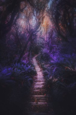 Yeni Zelanda tropikal ormanında yol