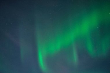 Norveç 'in Lofoten adasındaki kuzey ışıkları