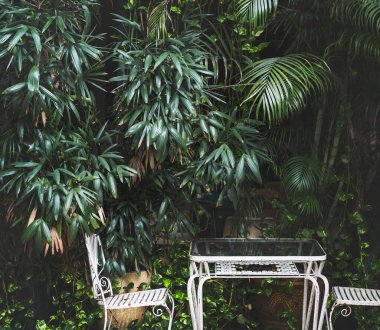 Güzel yeşillik yakın çekim manzarası