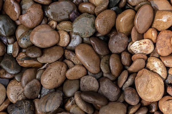 Nasse Kieselsteine Und Steine Auf Dem Boden — Stockfoto