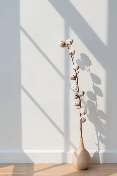 Pamutvirág Egy Vázában Egy Fapadlón — Stock Fotó