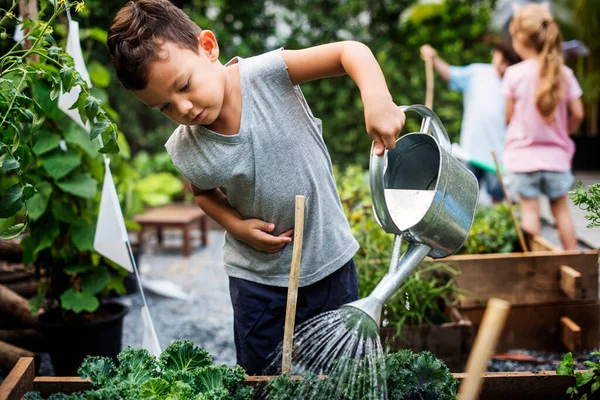 Group Kindergarten Kids Learning Gardening Outdoors — Stok Foto