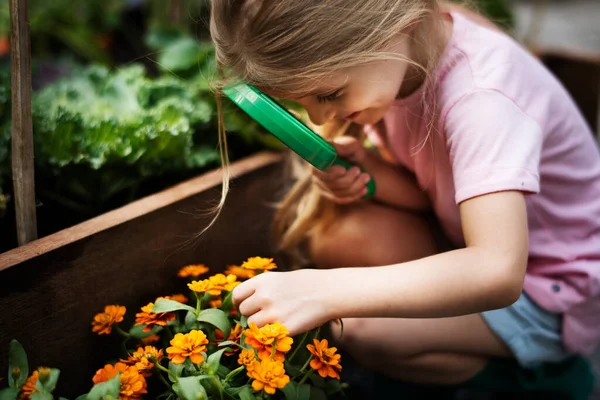 Little Girl Observing Flowers — Stok Foto