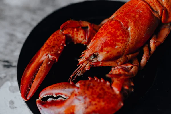 Homard Rouge Cuit Vapeur Pour Dîner — Photo