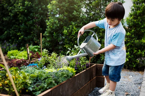 Little Boy Watering Plants — Stock Photo, Image