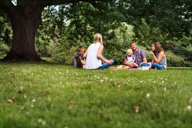 Parkta mutlu aile pikniği