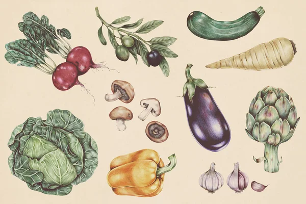 手描きの野菜柄イラスト — ストック写真