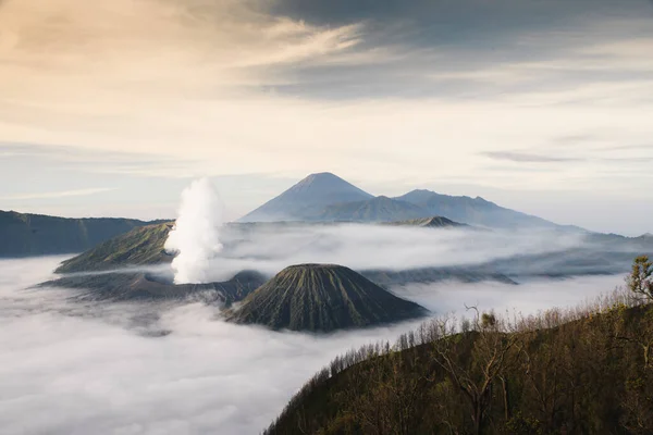 Monte Bromo Volcán Indonesia —  Fotos de Stock