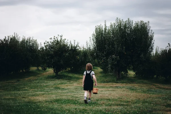 Kleines Mädchen Spielt Auf Einem Bauernhof — Stockfoto