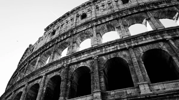 Colosseo Bianco Nero Roma — Foto Stock
